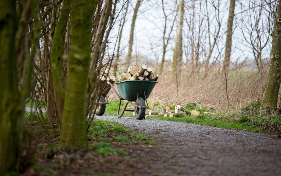 Küttepuude transport – kuidas see meil toimub ja mida peaksid teadma